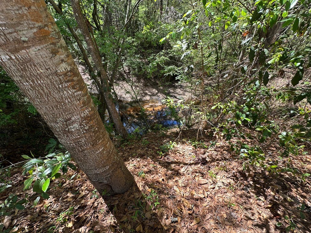 Picture 23