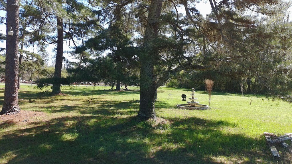 Picture 28