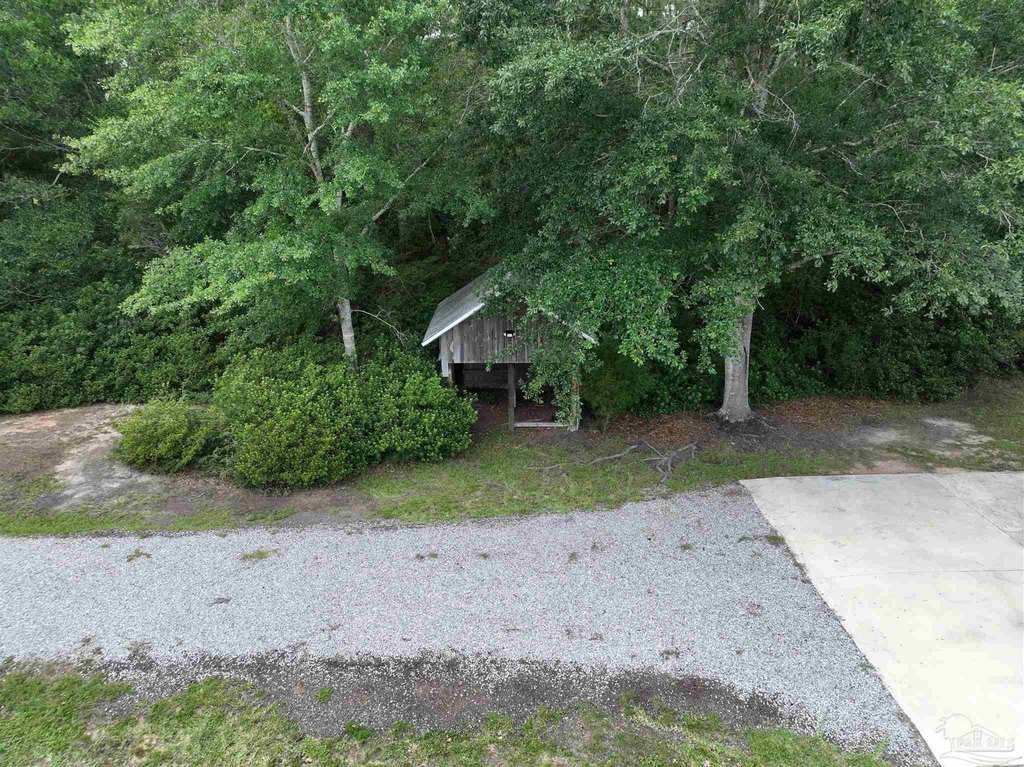 Picture 17