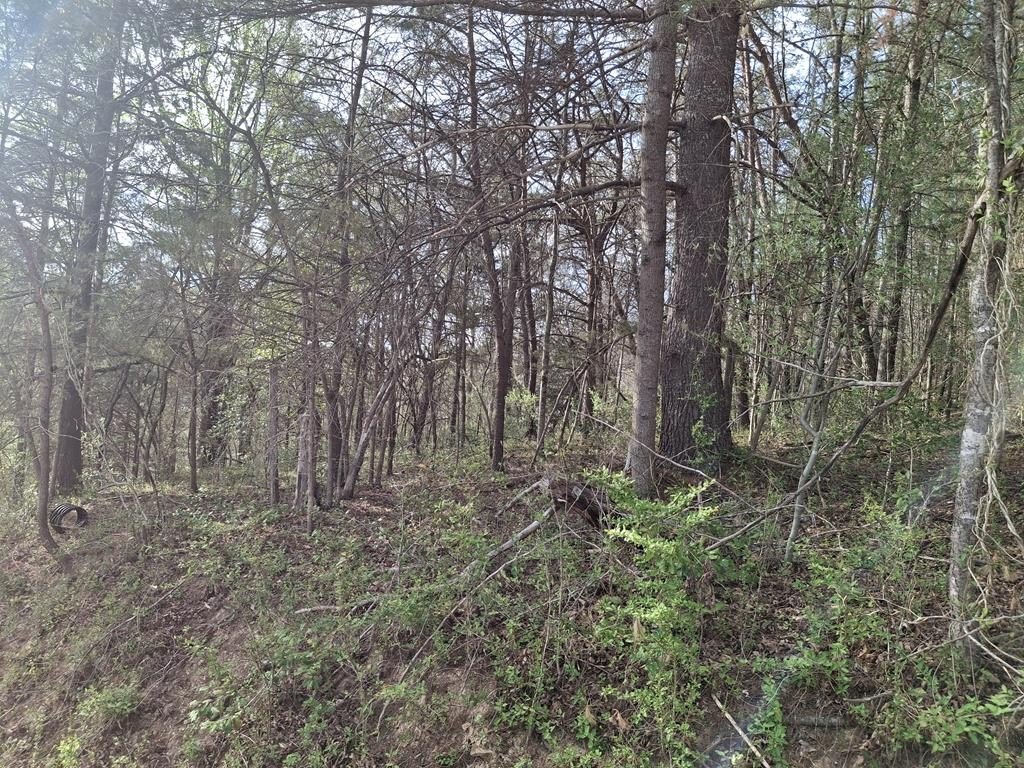 Picture 10