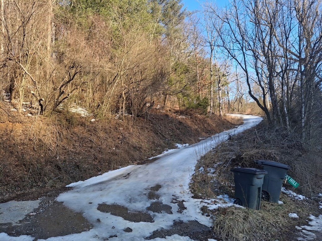 Picture 4