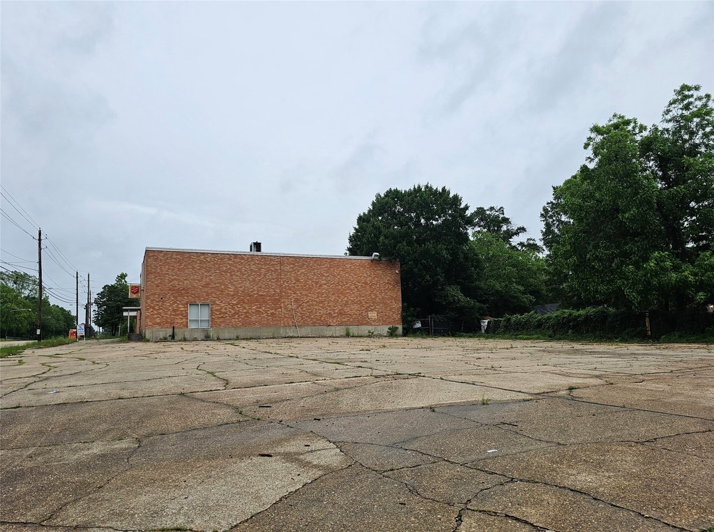 Picture 5