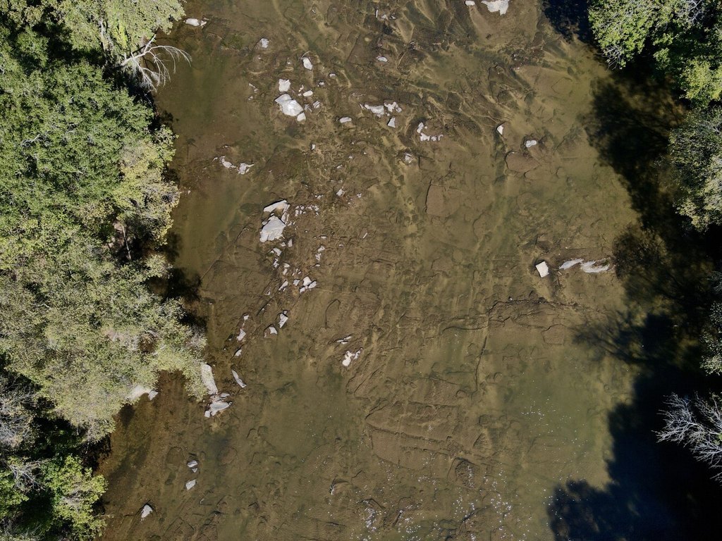 Picture 4