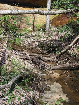 Land with Seasonal Waterfall
