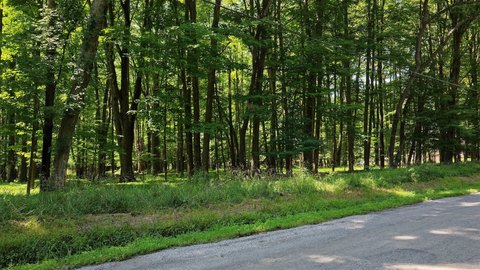 Land, Jamestown, PA