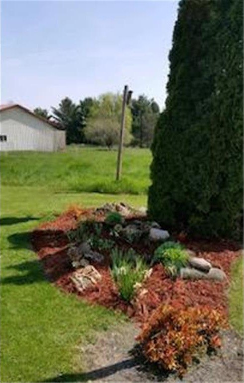 Picture 36
