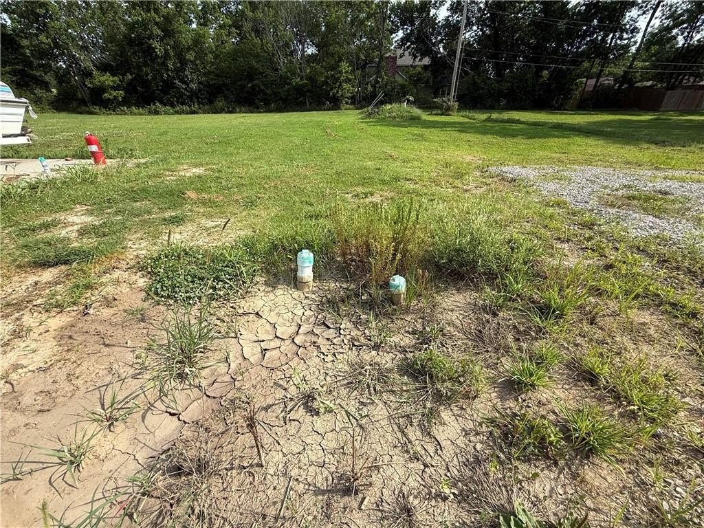 Picture 9