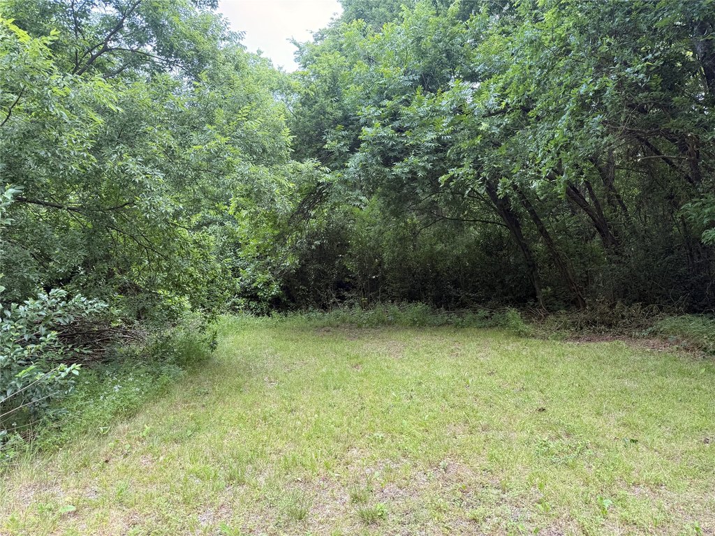 Picture 4