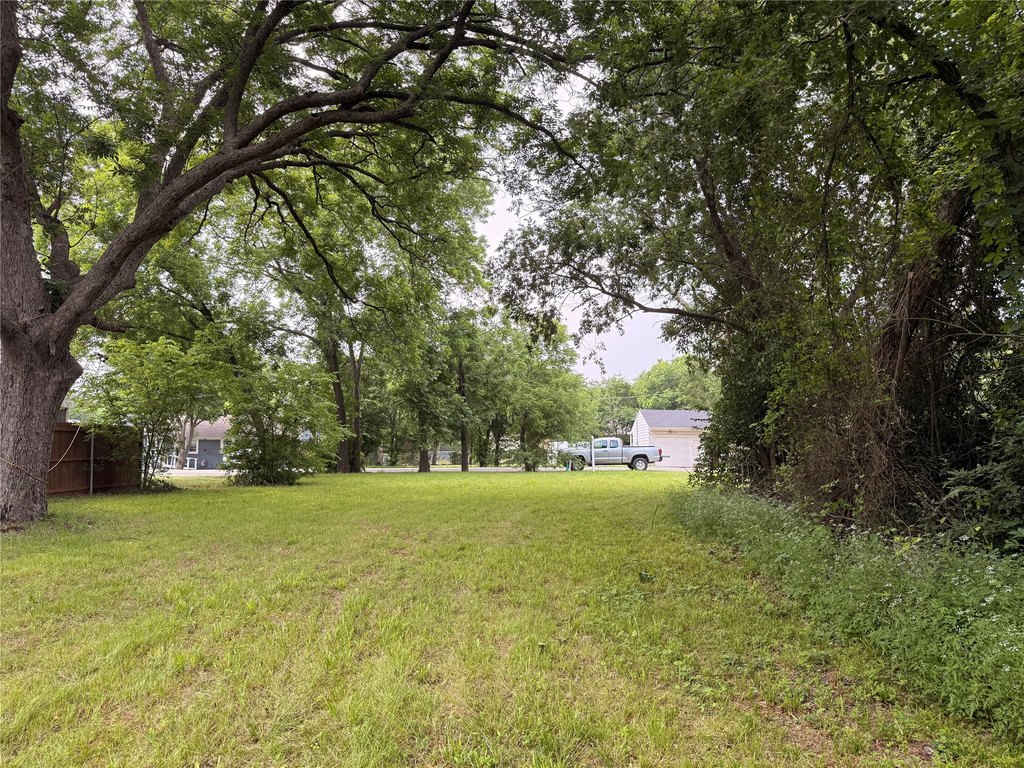 Picture 6