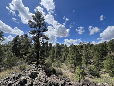 Land, Williams, AZ