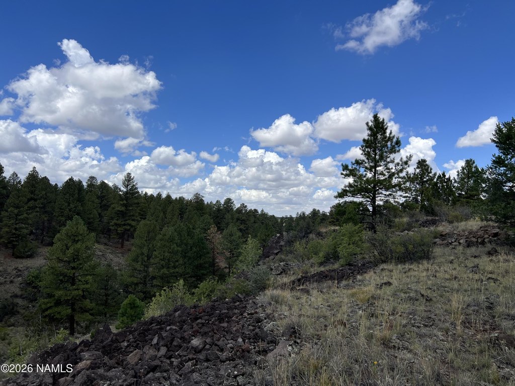 Picture 18
