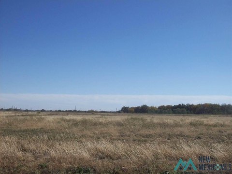 Residential Land in Artesia, NM