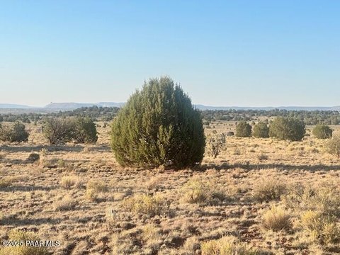 Land, Seligman, AZ