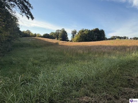 Lots and Land, Lebanon, KY