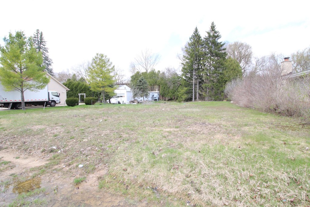 Picture 8