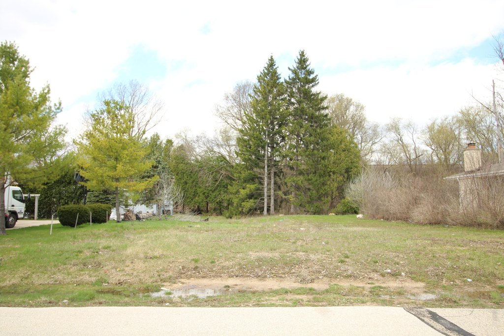 Picture 7