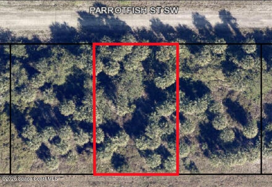 Palm Bay Land For Sale