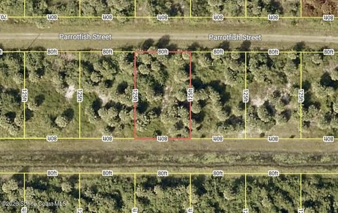 Residential Land in Palm Bay