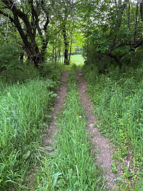 Picture 14