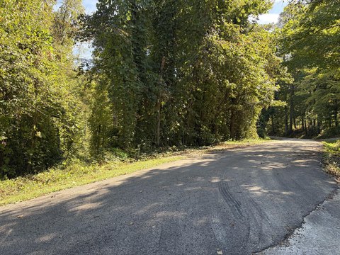 Land, Williamsburg, KY