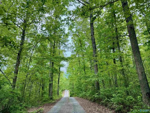 Wooded Acreage in Gated Community