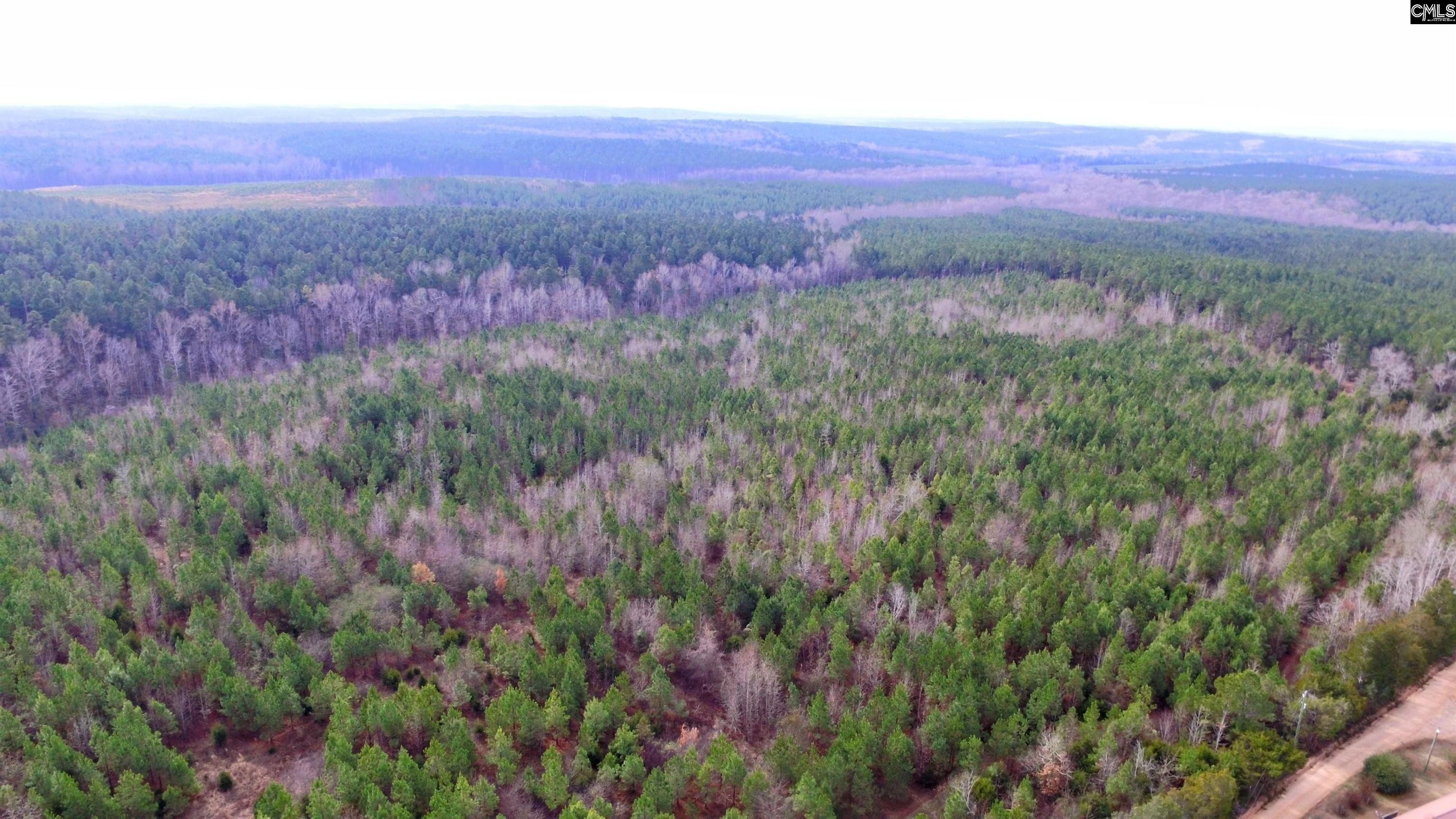 36.59 Acres on Juneberry Rd