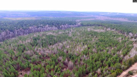 36.59 Acres on Juneberry Rd