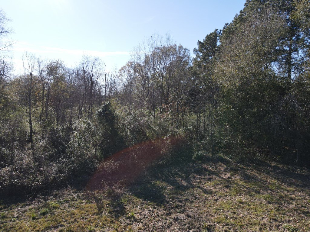 Picture 4