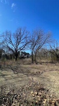 Wooded Acreage with Two Parcels