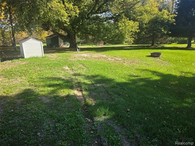 Picture 3
