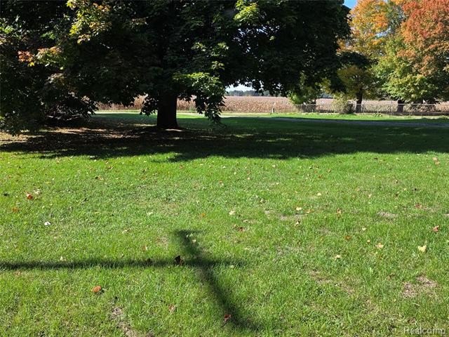 Picture 6
