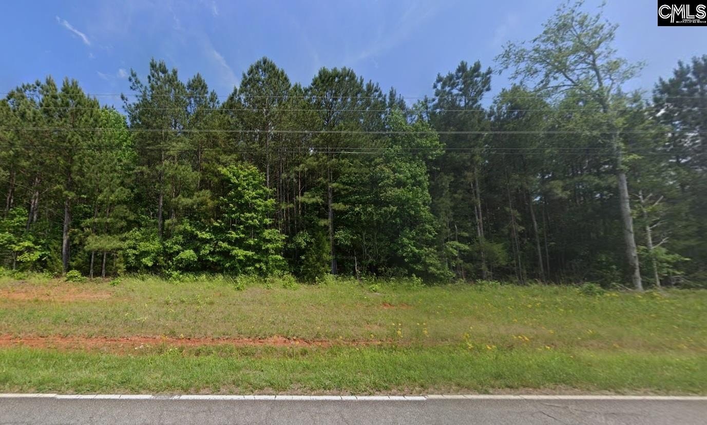 Newberry Acreage: Build Your Dream