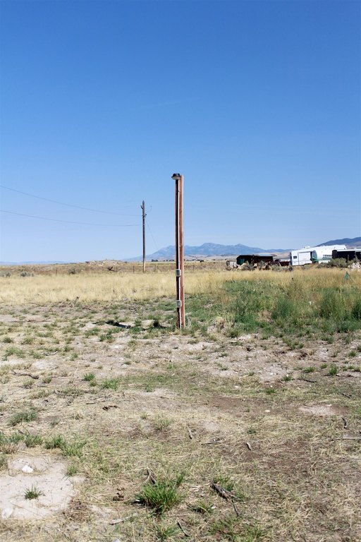 Picture 38