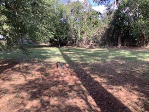 Land, Jasper, TX