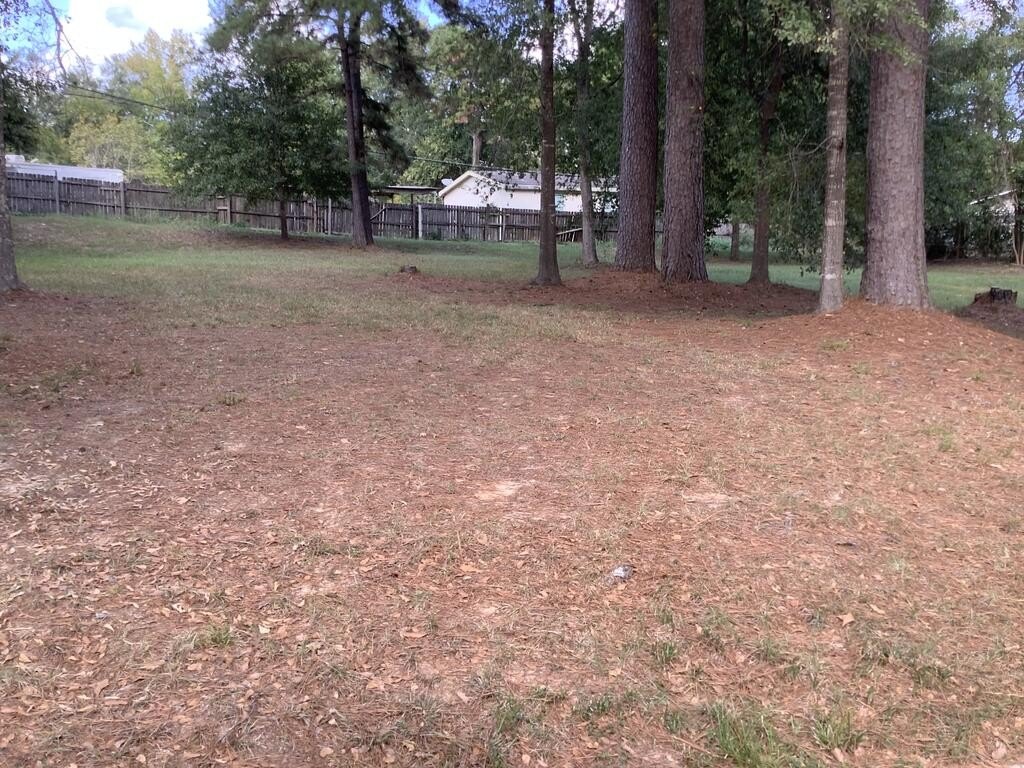 Picture 2