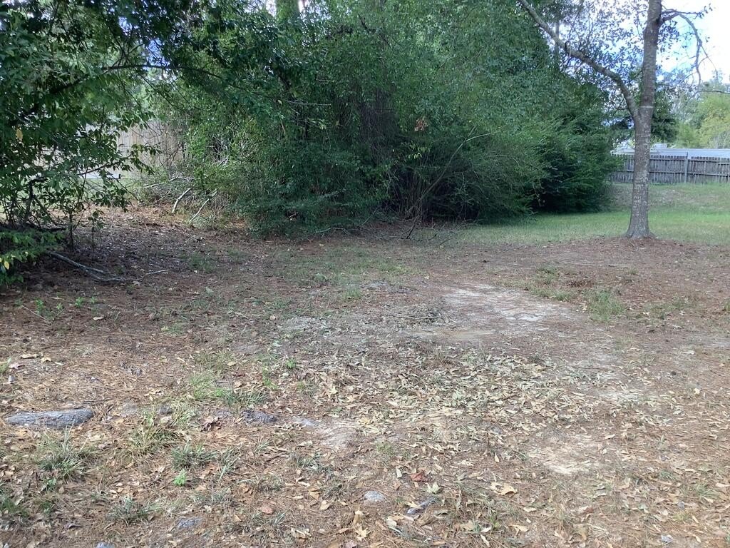 Picture 6