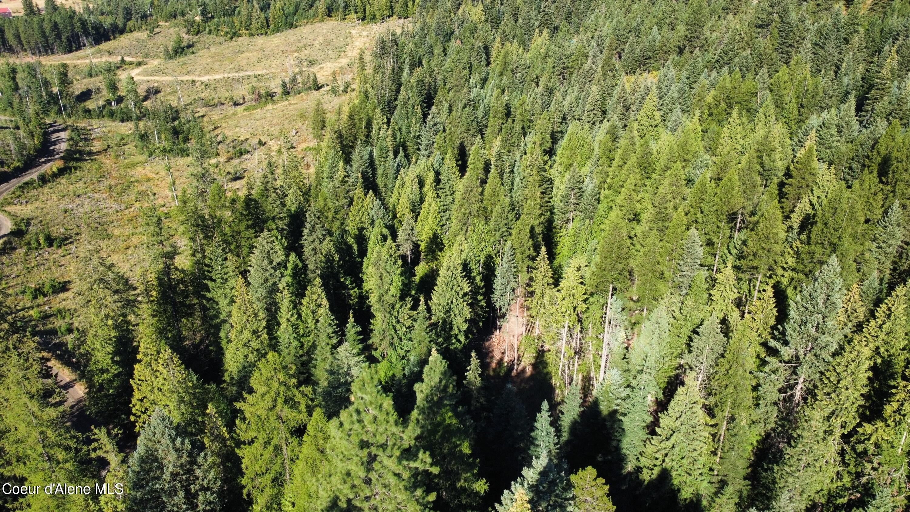 6-Acre Parcel Near St. Maries