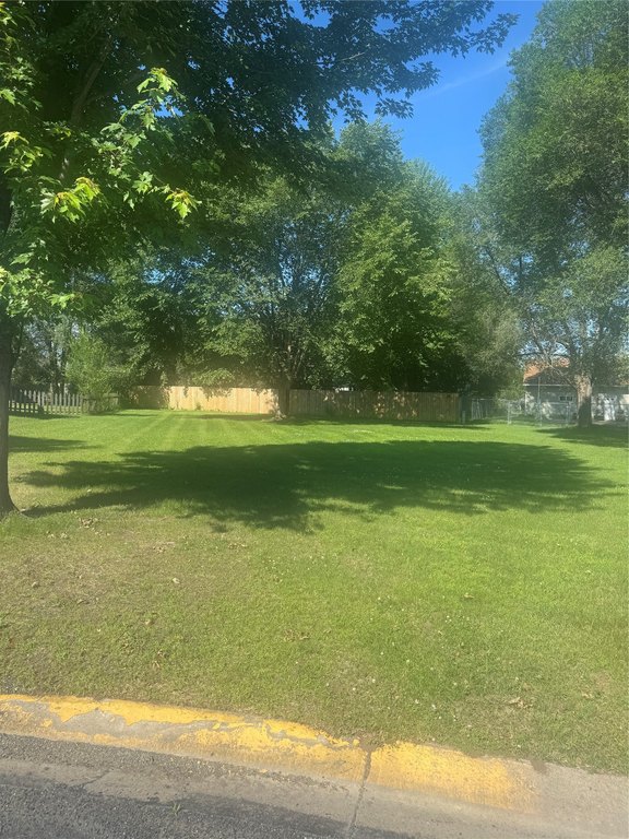 Picture 3