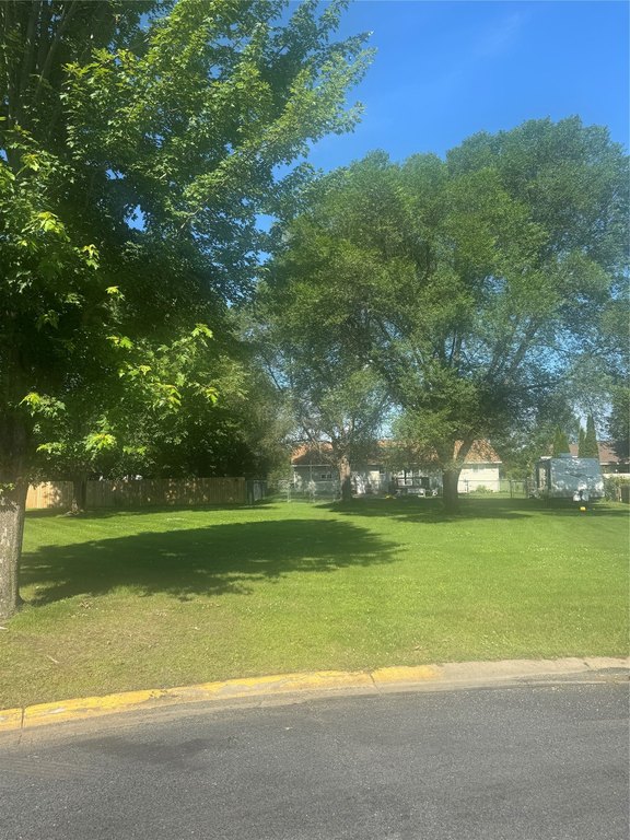 Picture 2
