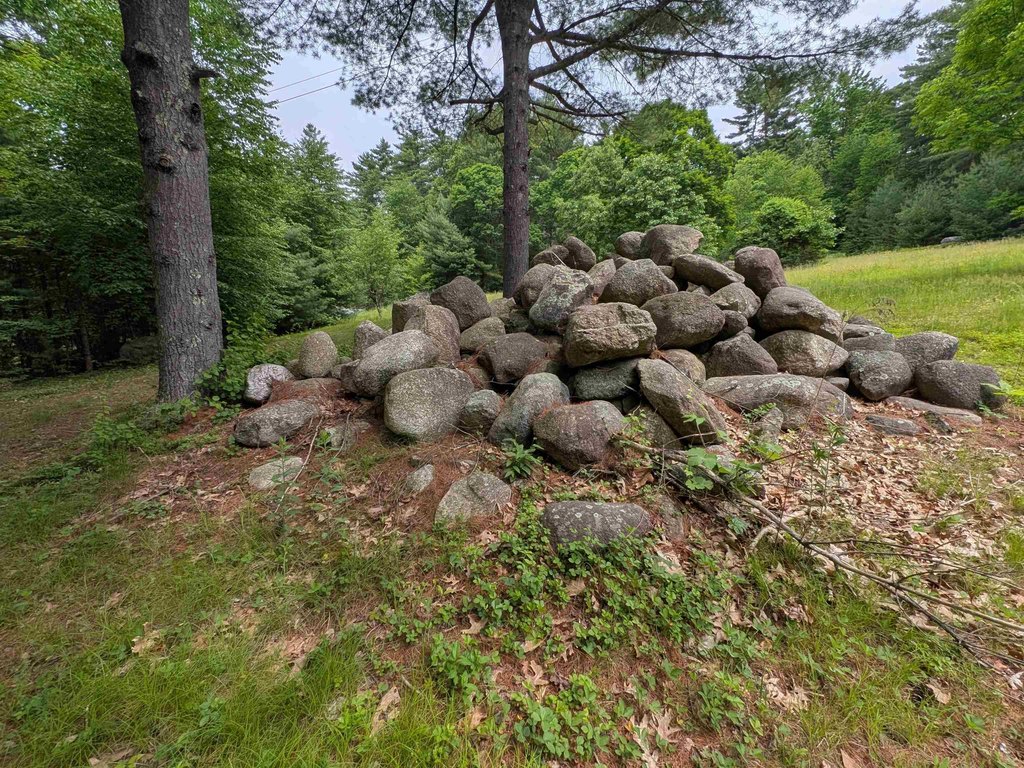 Picture 14