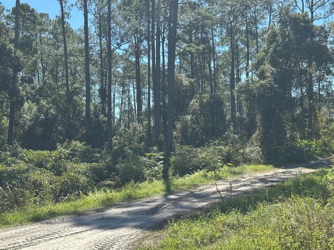 Vacant Lot in Deland