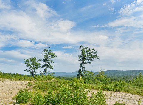 LAND - Wolfeboro, NH