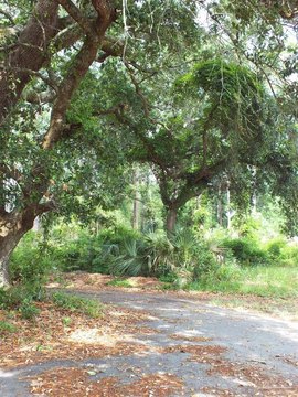 Residential Development Lot