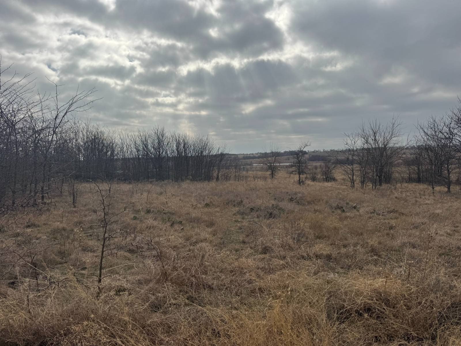 98-Acre Farm/Estate in Decatur, TX