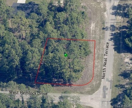 LAND - Citrus Springs, FL