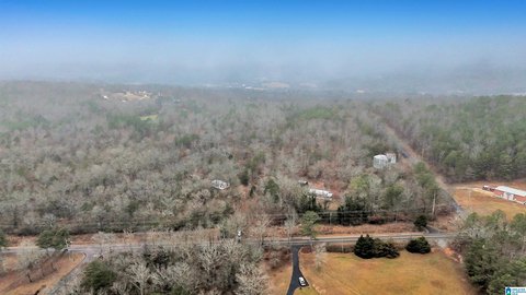 LAND - SPRINGVILLE, AL