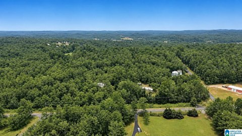LAND/LOTS, SPRINGVILLE, AL