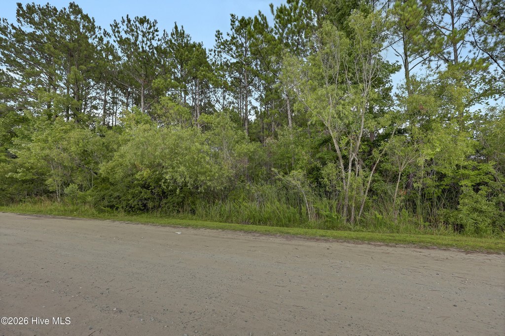 Picture 21