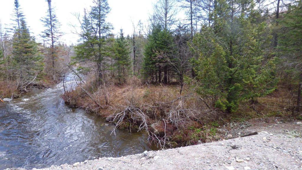 Picture 3