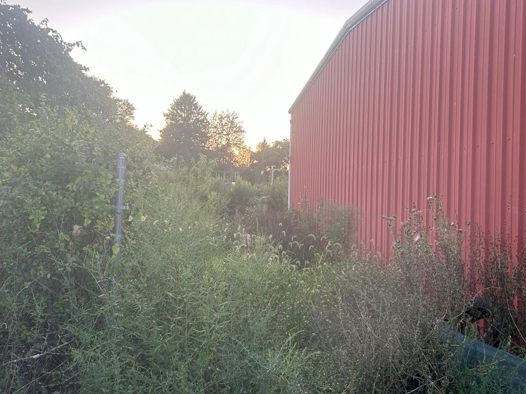 Picture 10